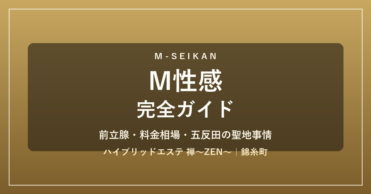 M性感完全ガイド